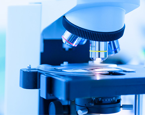 Mapping the Supply Chain